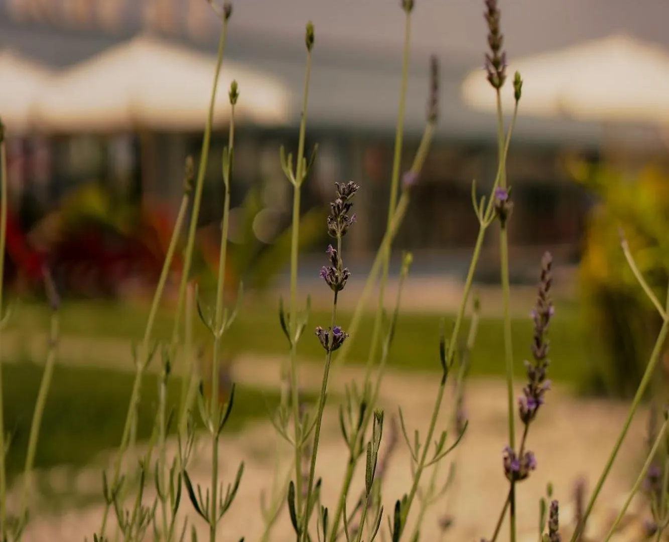 La Vida Otel Urla Apart Otel