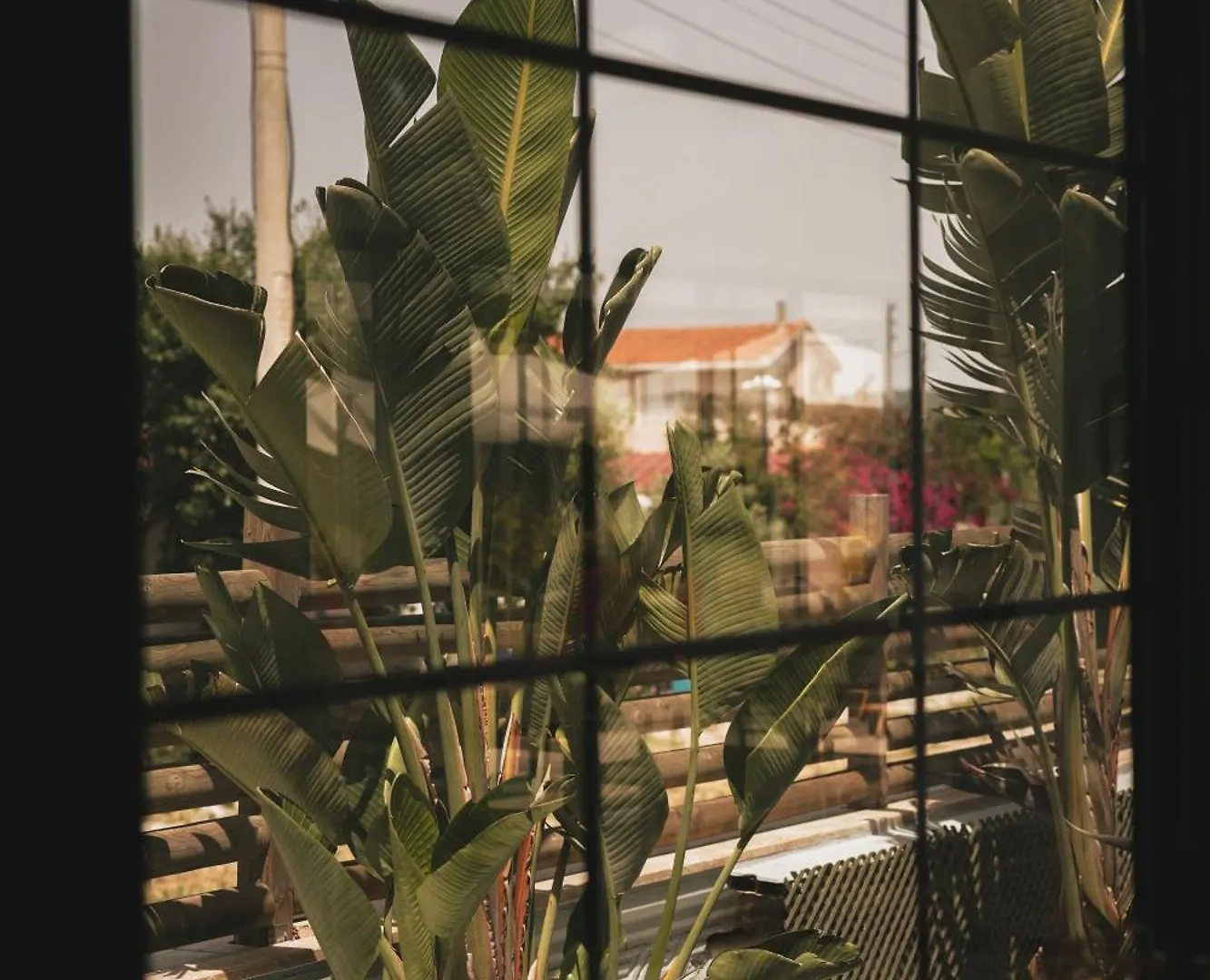 La Vida Otel Urla Turkey